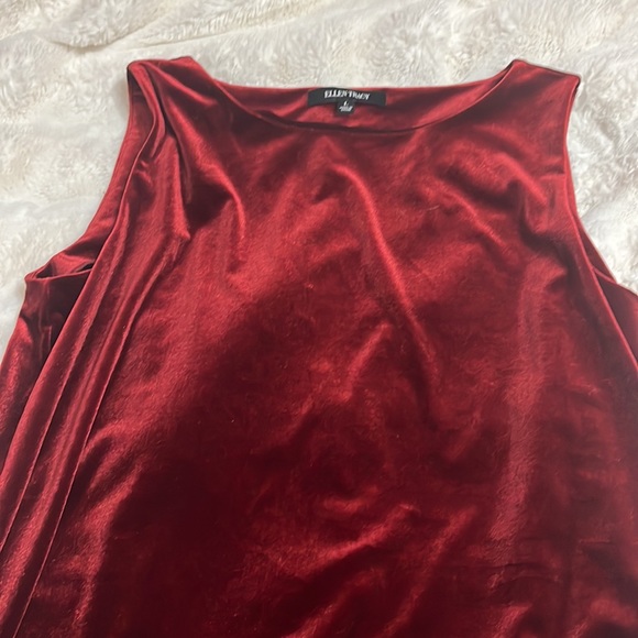 Ellen Tracey velvet top, so beautiful - Picture 1 of 5